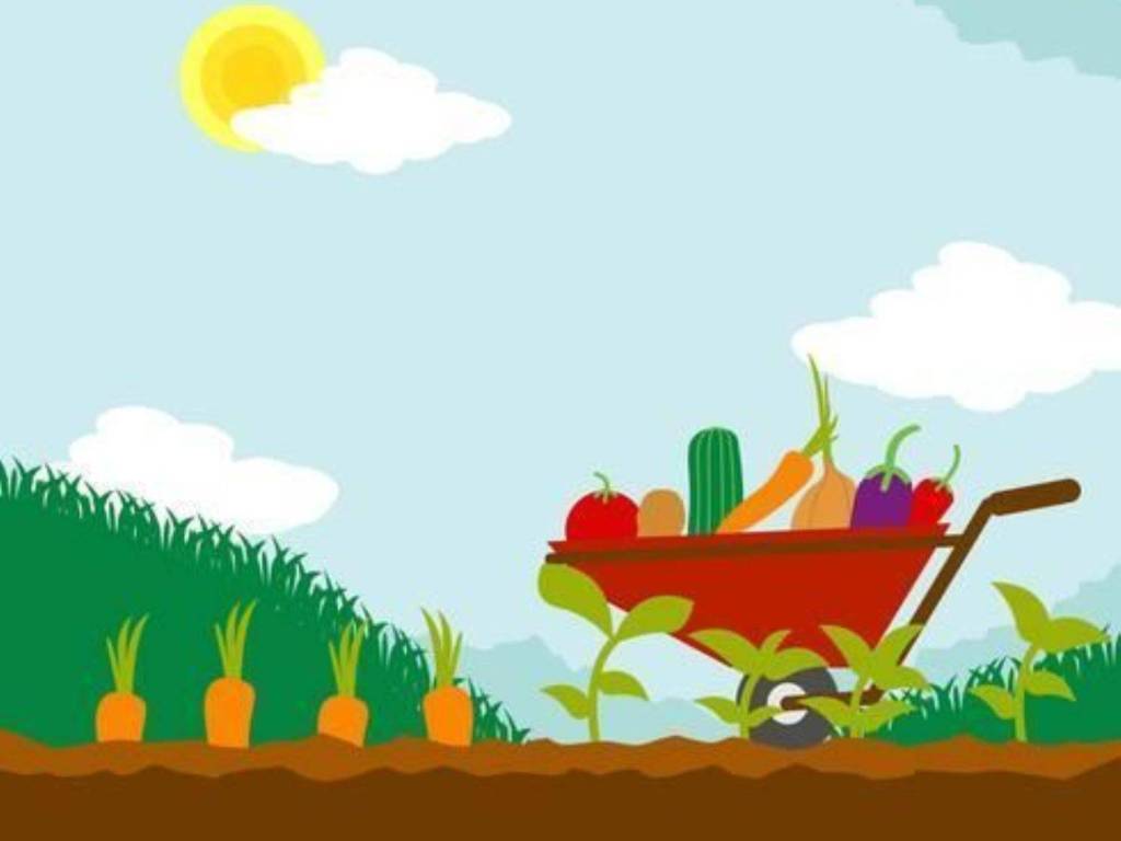 terreno agricolo in vendita a Zevio in zona Campagnola