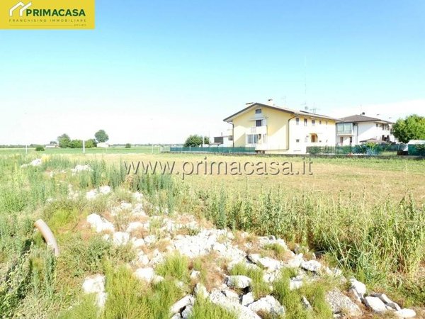 terreno agricolo in vendita a Zevio in zona Bosco