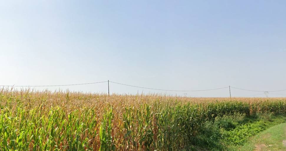 terreno agricolo in vendita a Zevio