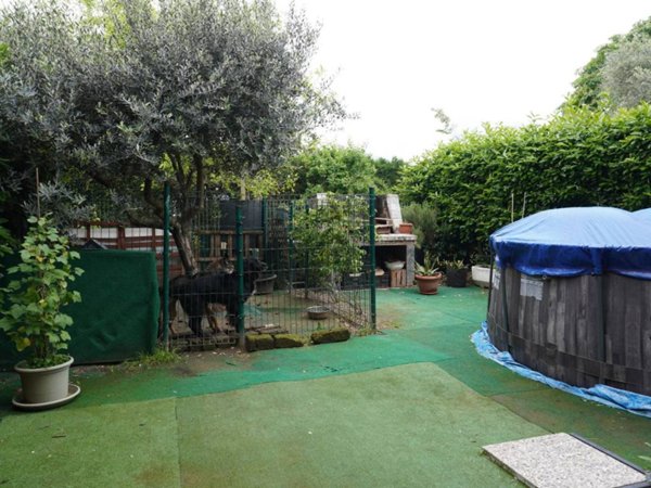 appartamento in vendita a Zevio in zona Campagnola