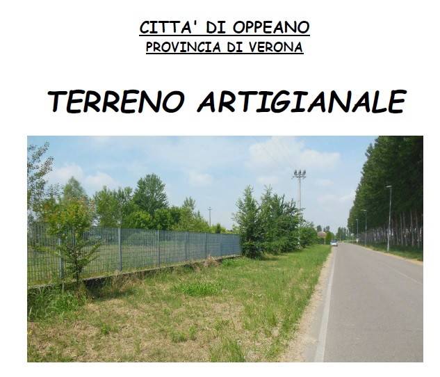 terreno agricolo in vendita a Zevio in zona Campagnola