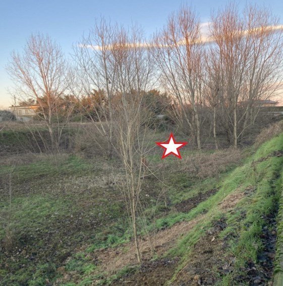 terreno agricolo in vendita a Zevio in zona Santa Maria