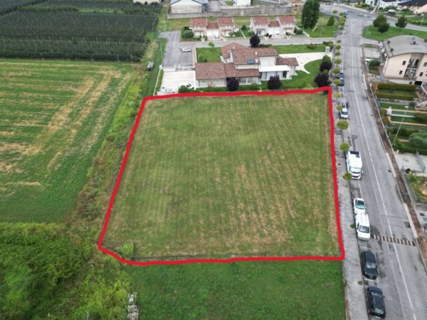 terreno agricolo in vendita a Zevio in zona Santa Maria