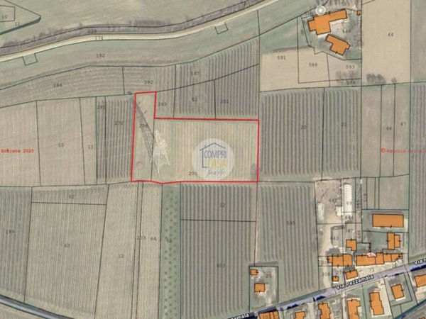 terreno agricolo in vendita a Zevio in zona Perzacco