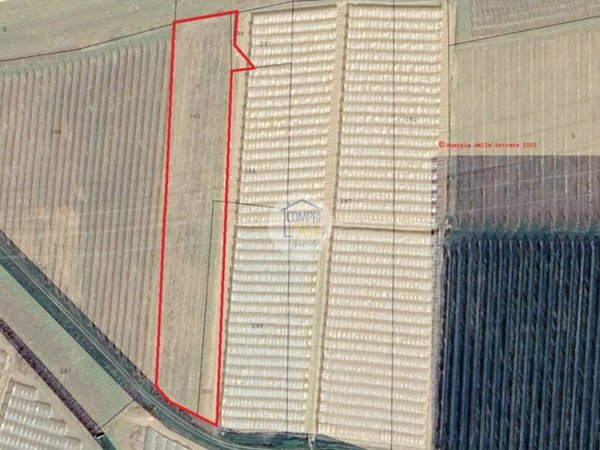 terreno agricolo in vendita a Zevio in zona Perzacco