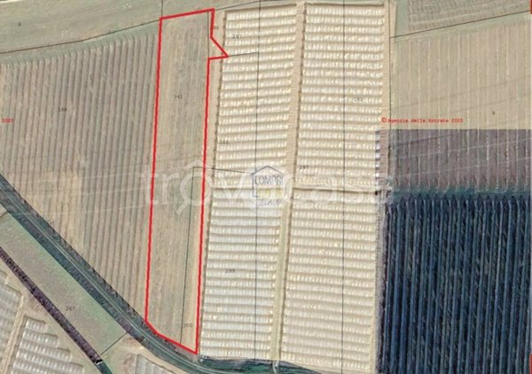 terreno agricolo in vendita a Zevio in zona Perzacco