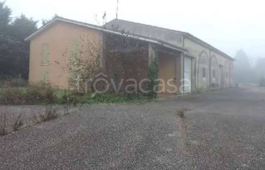 monolocale in vendita a Zevio