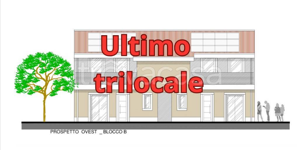 appartamento in vendita a Zevio