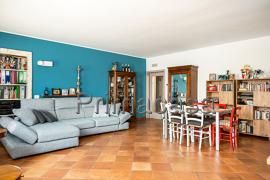 appartamento in vendita a Zevio in zona Volon