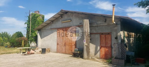 terreno agricolo in vendita a Zevio