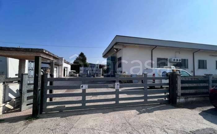 negozio in vendita a Zevio