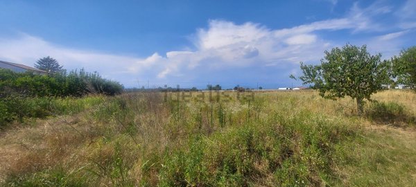 terreno agricolo in vendita a Zevio
