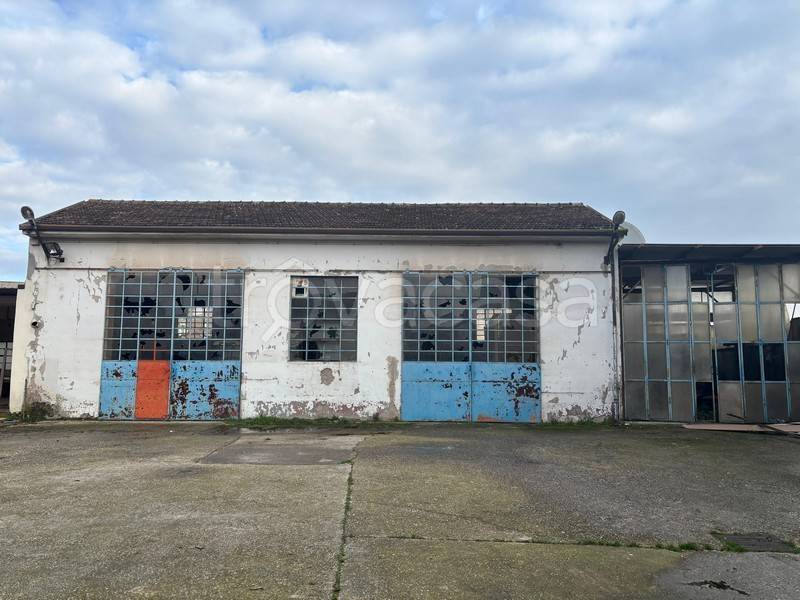 casa indipendente in vendita a Zevio