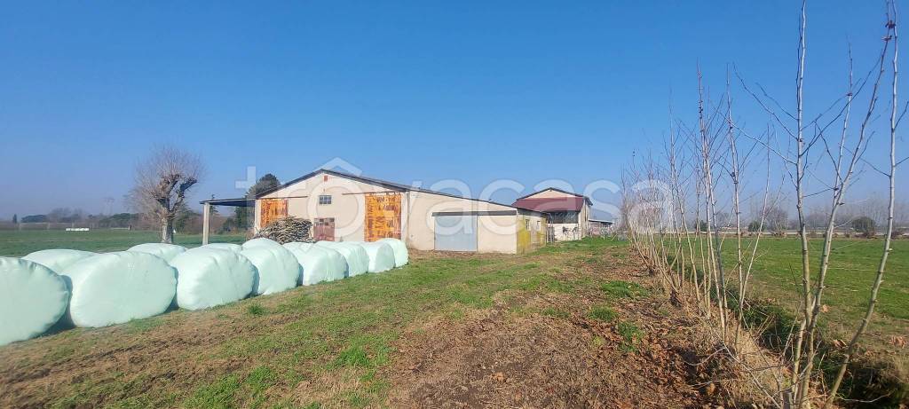 appartamento in vendita a Zevio in zona Santa Maria