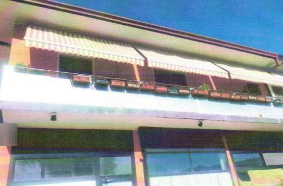 appartamento in vendita a Zevio in zona Volon