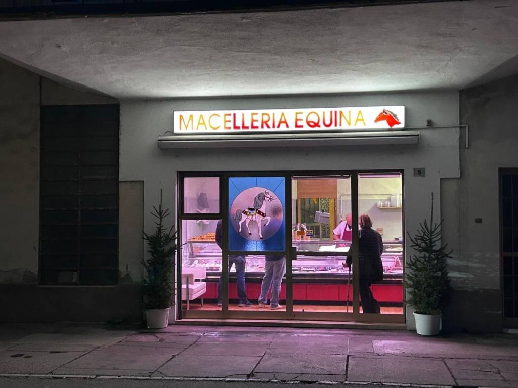 negozio in vendita a Zevio