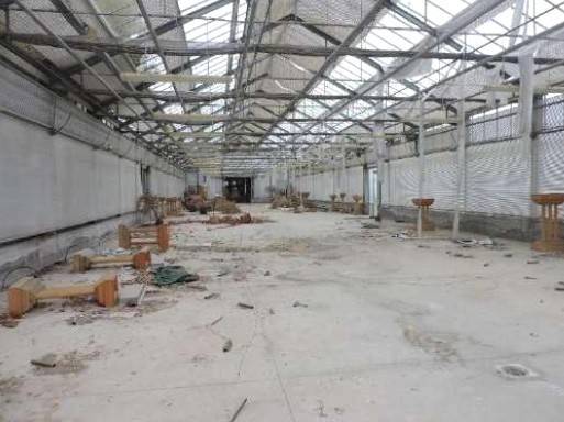 terreno agricolo in vendita a Zevio