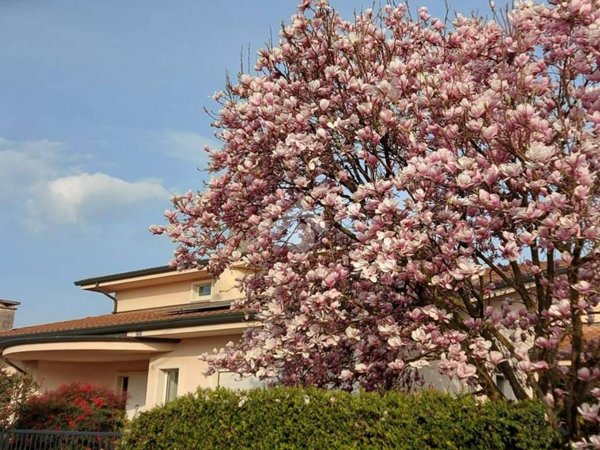 casa indipendente in vendita a Zevio in zona Perzacco