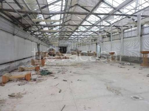 casa indipendente in vendita a Zevio