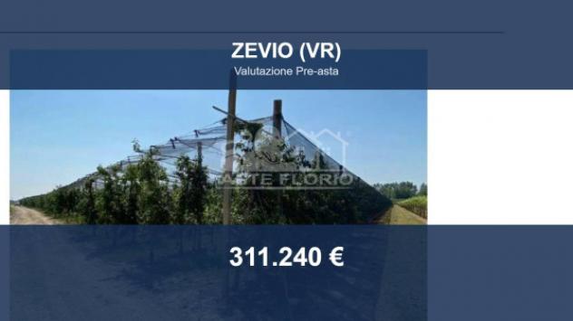 terreno agricolo in vendita a Zevio