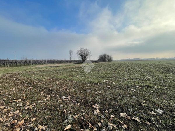 terreno agricolo in vendita a Zimella