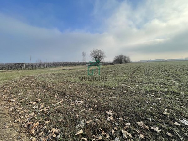 terreno agricolo in vendita a Zimella