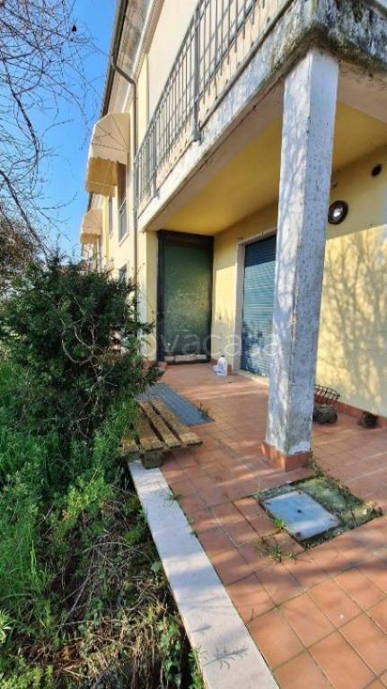 appartamento in vendita a Zimella