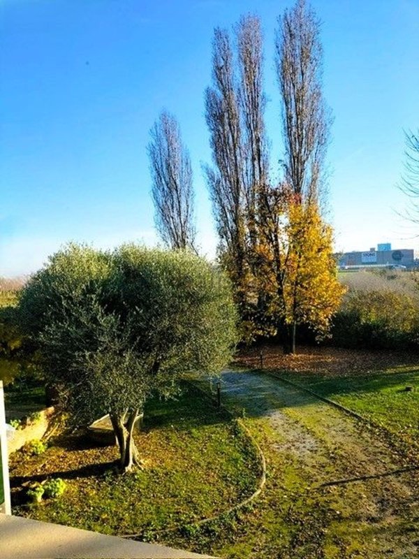 casa indipendente in vendita a Zimella