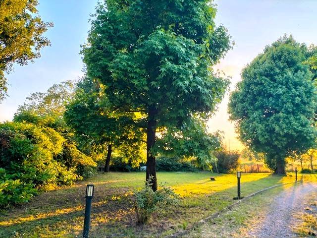 casa indipendente in vendita a Zimella