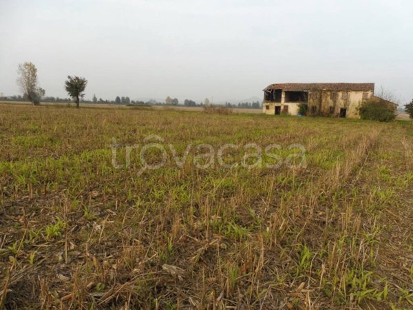 terreno agricolo in vendita ad Agugliaro