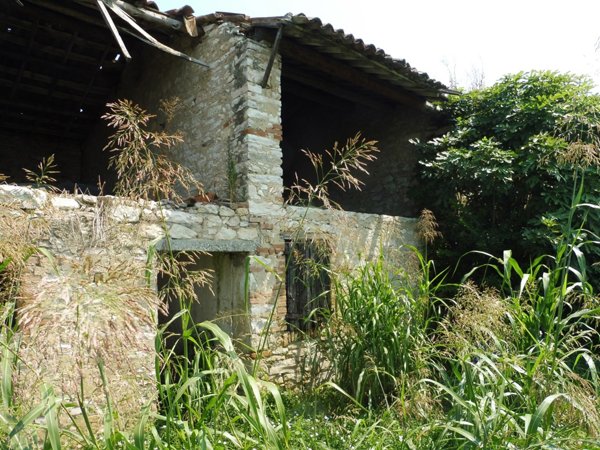 rudere in vendita ad Agugliaro