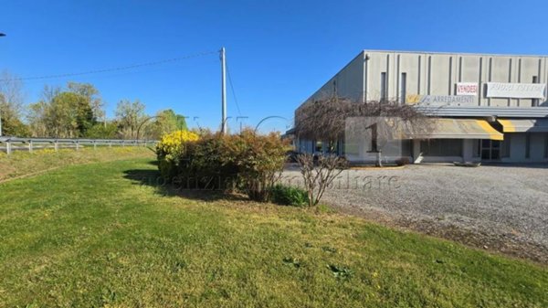 capannone in vendita ad Agugliaro