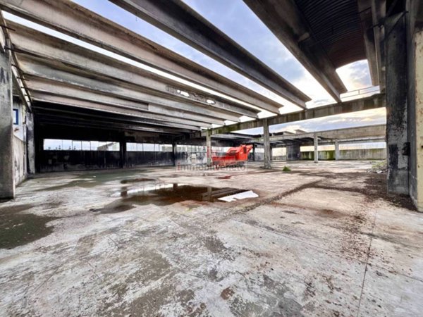 capannone in vendita ad Agugliaro