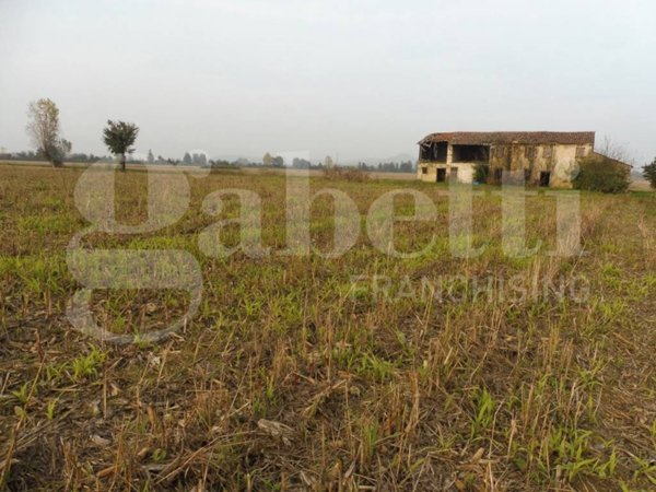 terreno agricolo in vendita ad Agugliaro