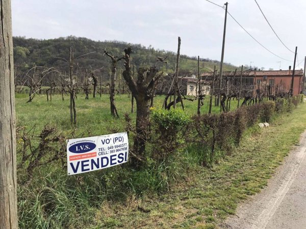 casa indipendente in vendita ad Albettone in zona Lovertino