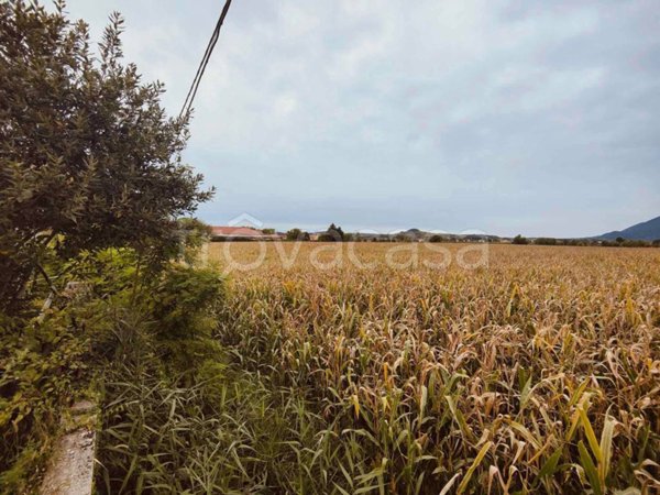 terreno agricolo in vendita ad Albettone
