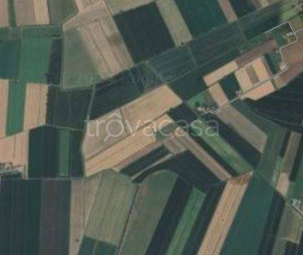 terreno agricolo in vendita ad Albettone