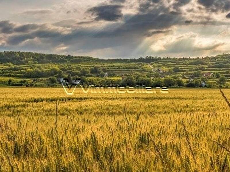 terreno edificabile in vendita ad Albettone