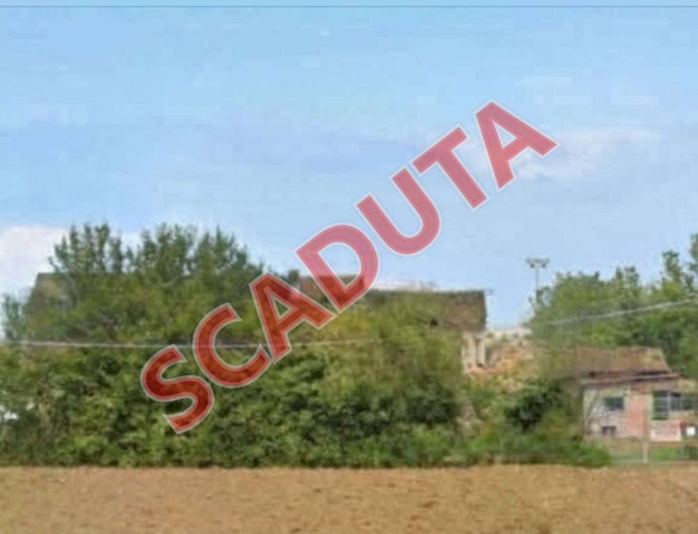 appartamento in vendita ad Albettone