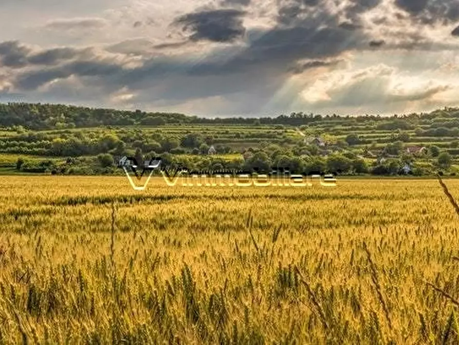 villa in vendita ad Albettone in zona Lovertino