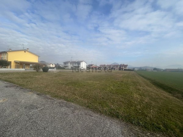 terreno in vendita ad Albettone