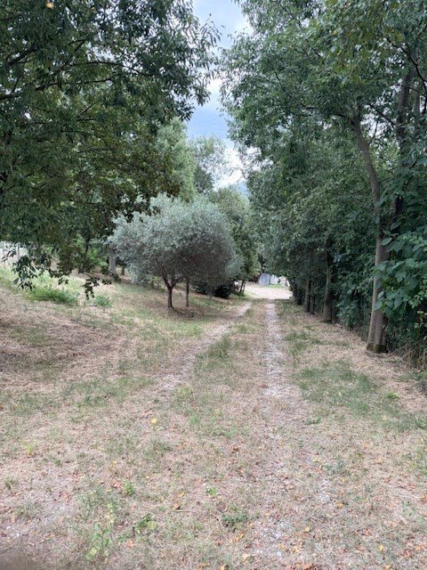 terreno agricolo in vendita ad Albettone
