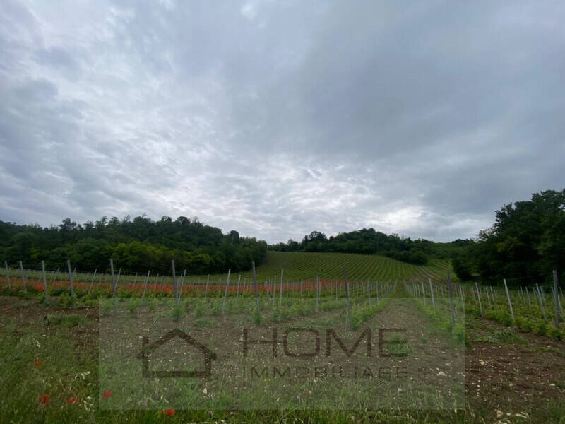 terreno agricolo in vendita ad Albettone