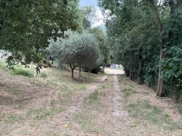 terreno agricolo in vendita ad Albettone