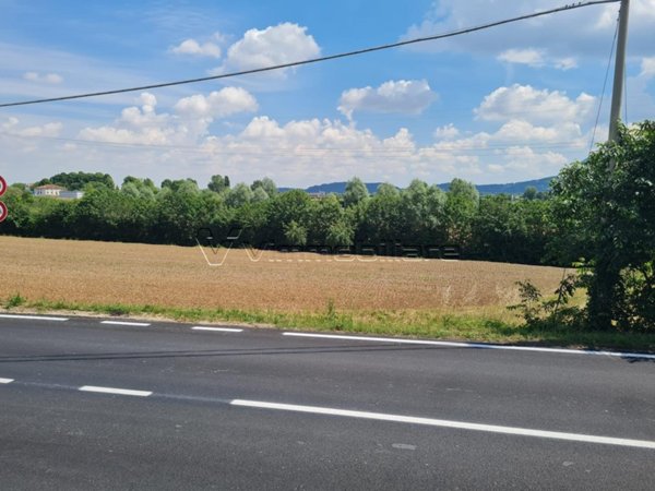 terreno agricolo in vendita ad Albettone in zona Lovolo