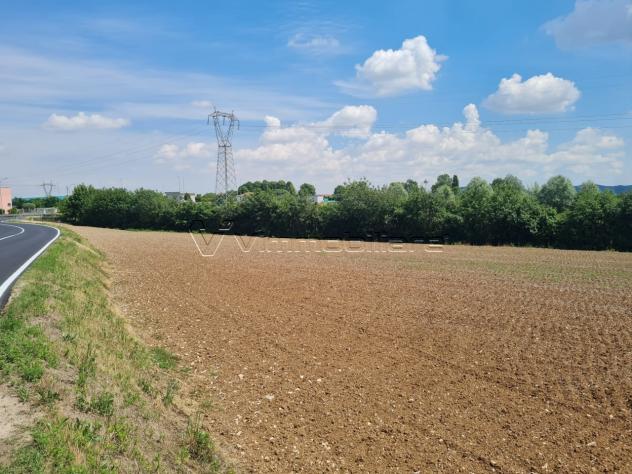 terreno agricolo in vendita ad Albettone in zona Lovolo