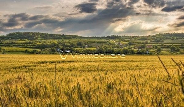villa in vendita ad Albettone in zona Lovertino