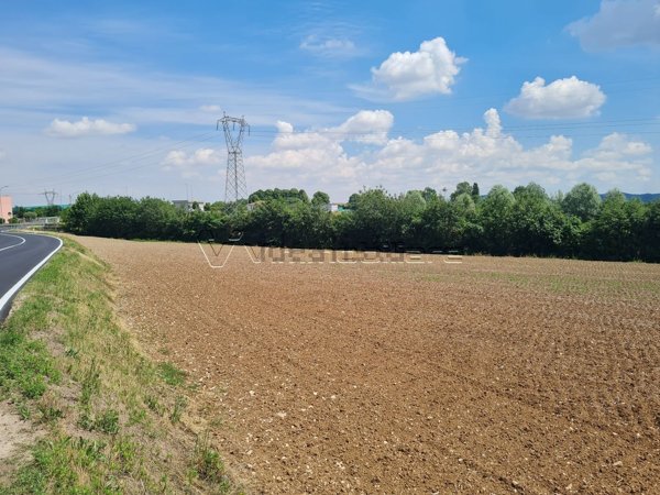 terreno agricolo in vendita ad Albettone in zona Lovolo