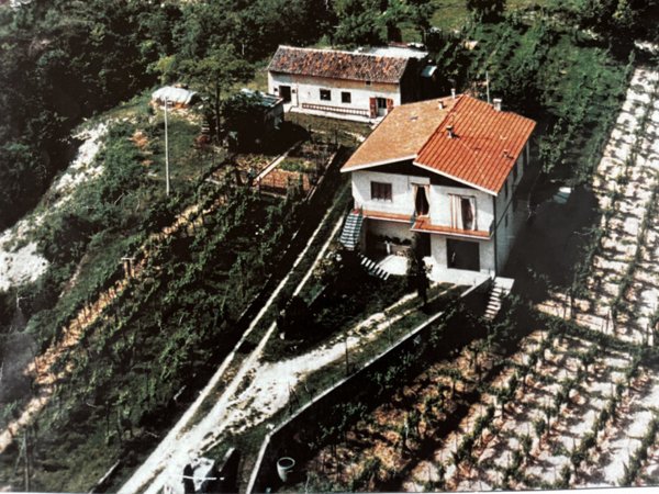 casa indipendente in vendita ad Albettone