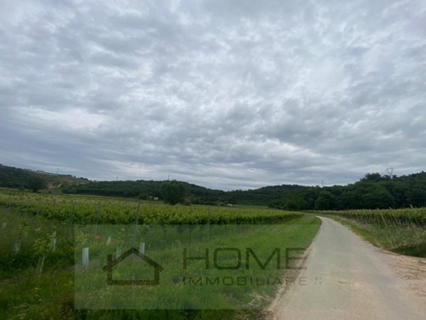 terreno in vendita ad Albettone in zona Lovertino
